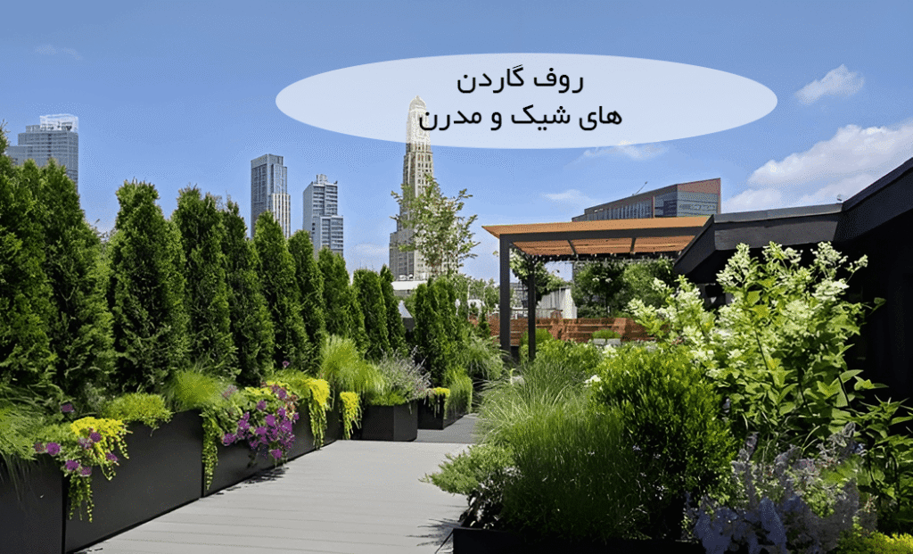 تصویری از باغ بام سبز