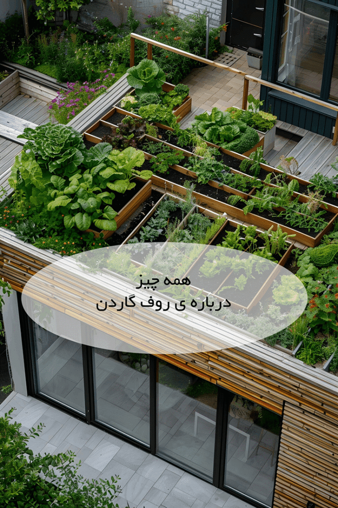 روف گاردن و بام سبز 